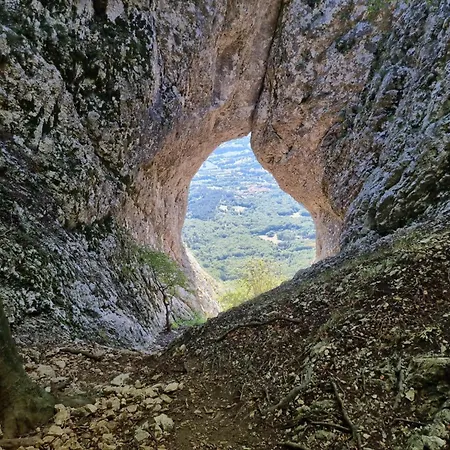 Wellba Otlica